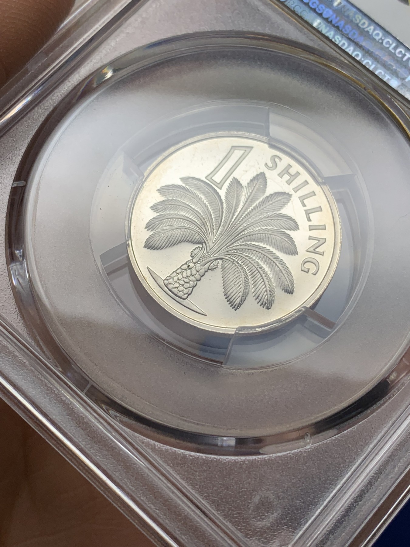 《竞宝斋》第225场-周日，周一，周二 3场 (全场包邮) PCGS金盾 PR65DCAM 冈比亚1966年棕榈树1先令精制镍币