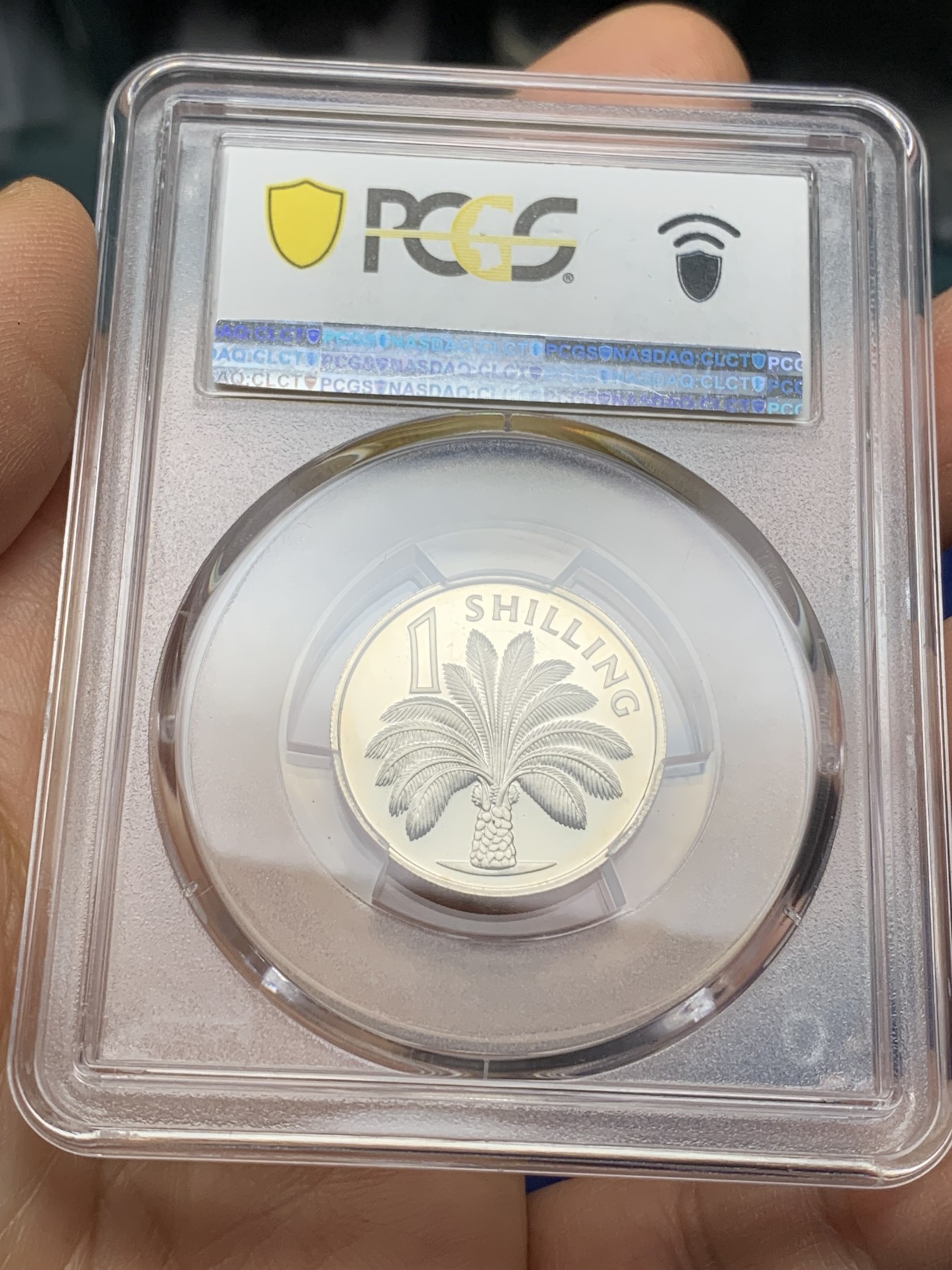 《竞宝斋》第225场-周日，周一，周二 3场 (全场包邮) PCGS金盾 PR65DCAM 冈比亚1966年棕榈树1先令精制镍币