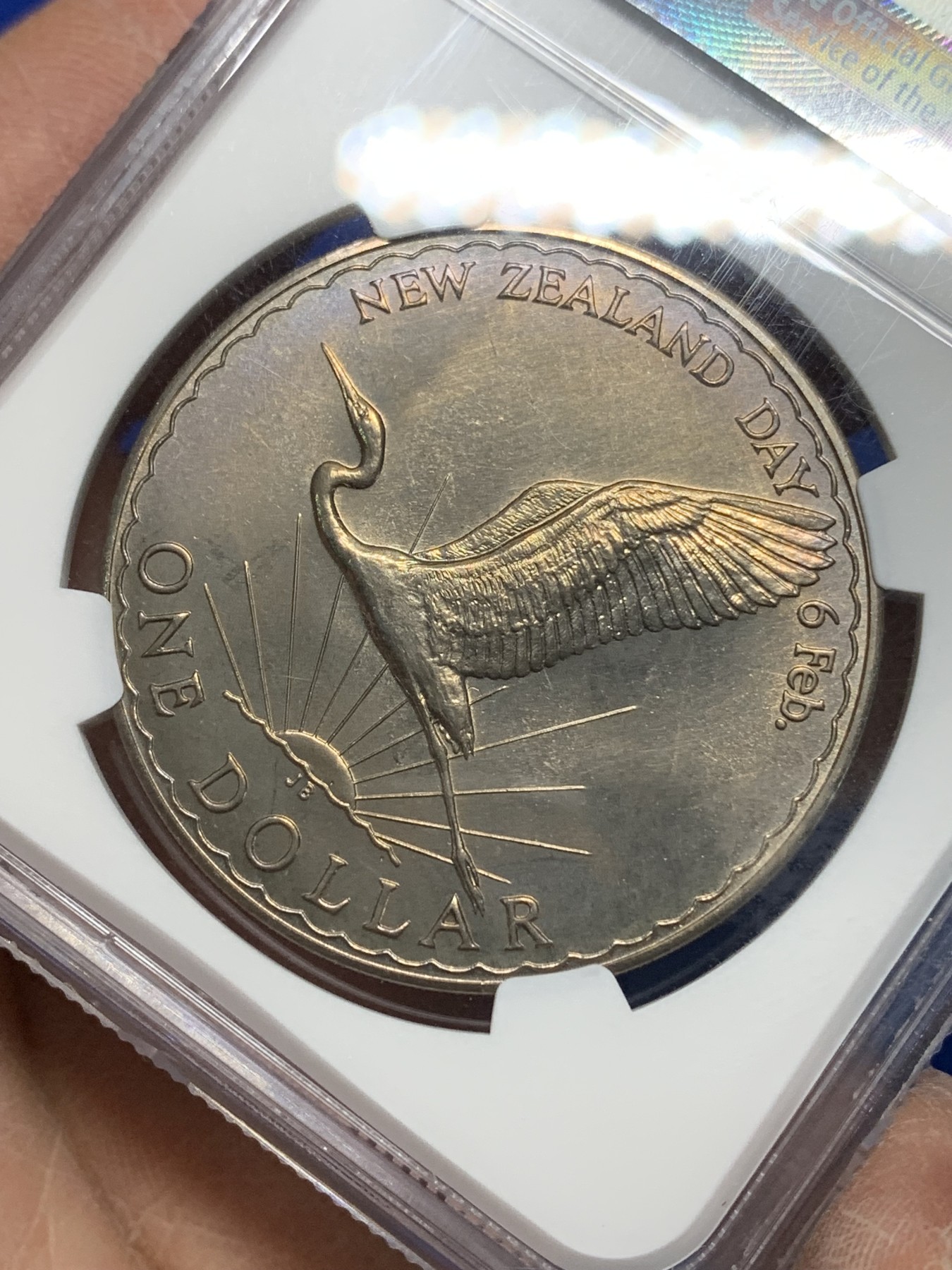 《竞宝斋》第225场-周日，周一，周二 3场 (全场包邮) NGC-MS66  1974新西兰1元 带包浆少见