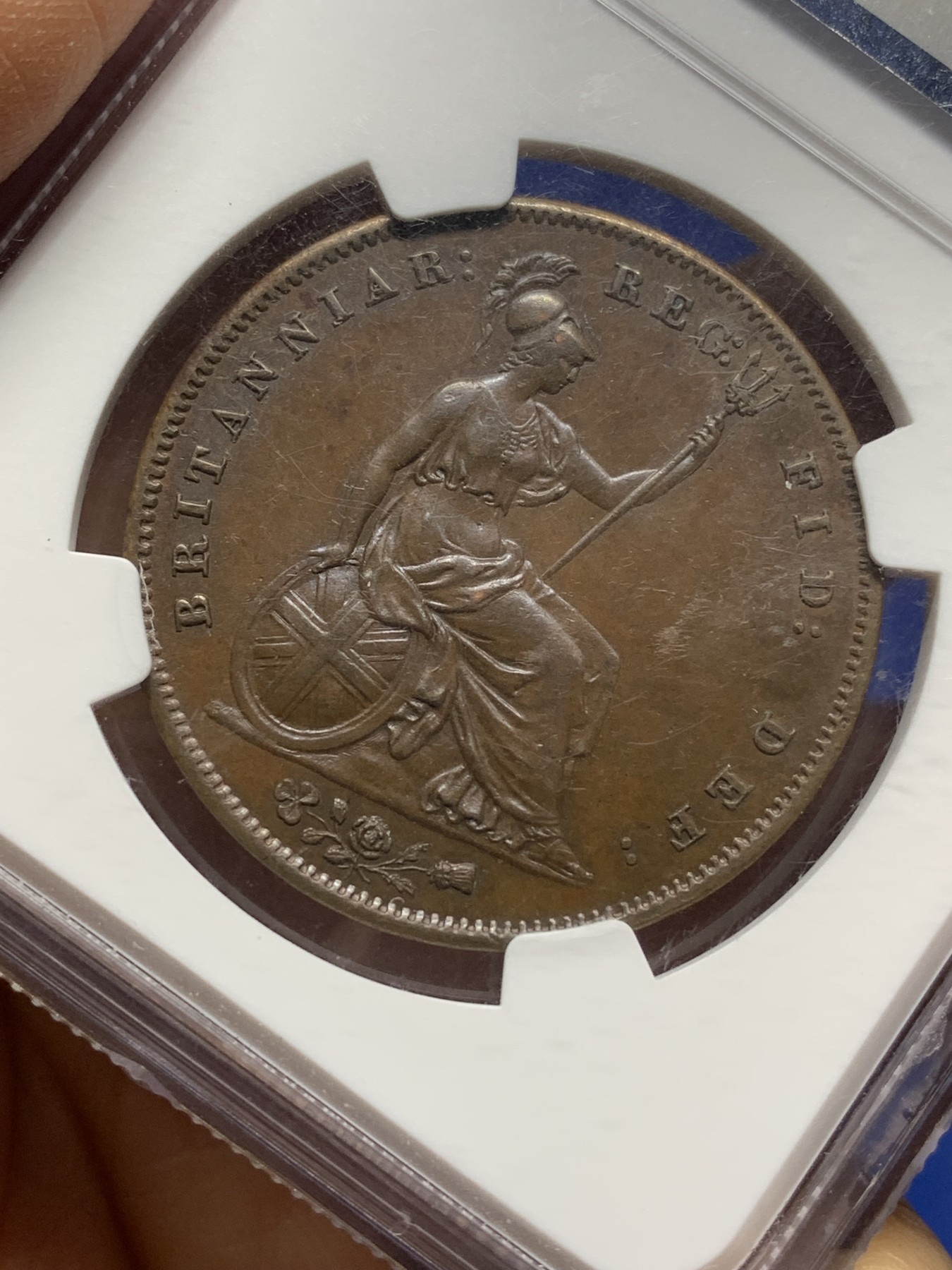 《竞宝斋》第225场-周日，周一，周二 3场 (全场包邮) NGC-MS63 英国 1858年 维多利亚1便士大铜币  巧克力包浆 状态舒服 盒子轻微模糊影响了视觉，实物不错