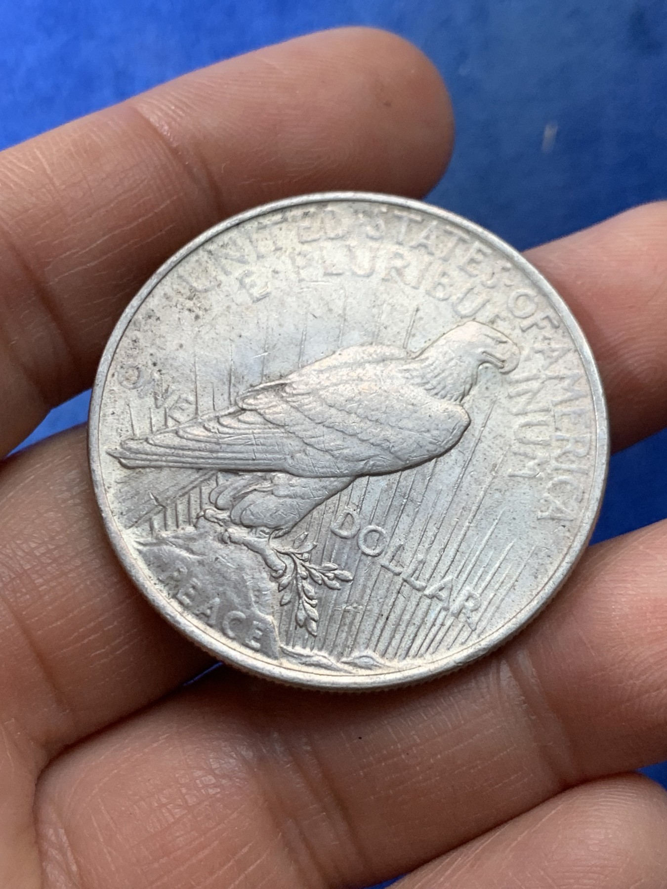 《竞宝斋》第225场-周日，周一，周二 3场 (全场包邮) 美国1922年和平鸽1美元银币