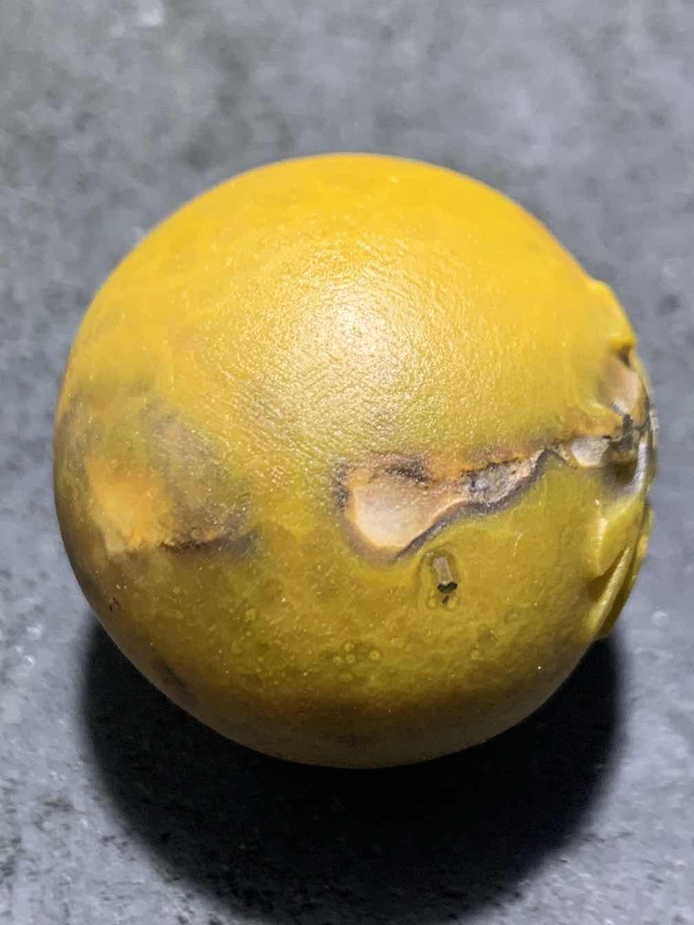 精美高玉化亚光原皮风化纹战国红玛瑙手工雕刻福字大圆珠一颗！