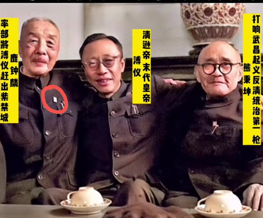 溥仪同款！中央辛亥革命五十周年大会纪念章
