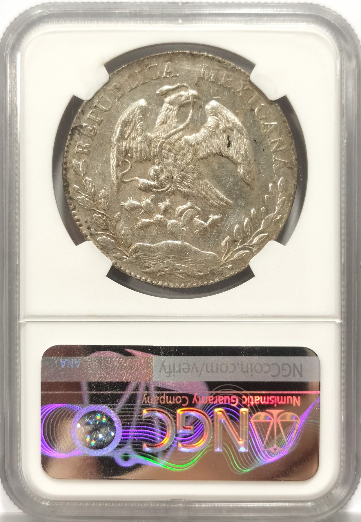 博洋堂世界钱币拍卖第057期（全场包邮） NGC UNCD 墨西哥1876年MO BH版鹰洋，镜面感很好