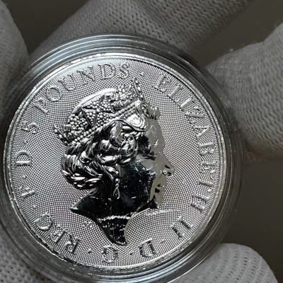 瑕疵特价英国2020女王神兽白马银币2盎司 磨痕较多 62.2克纯银999