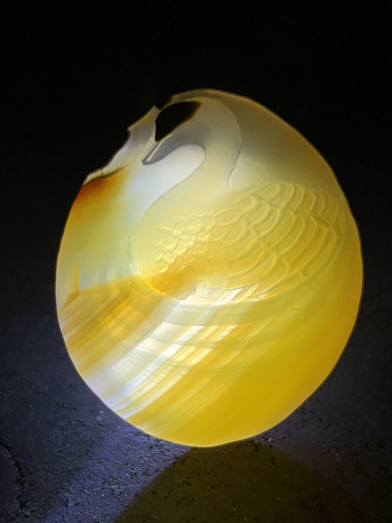 精美亚光高玉化巴西玛瑙手工俏色巧雕天鹅随形牌子一个！