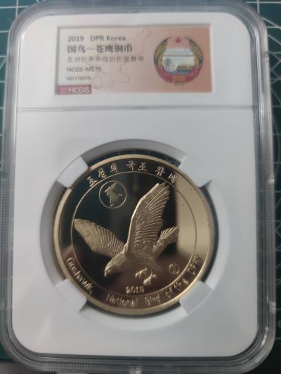 燕姐换藏第71拍 - 朝鲜2019年国鸟苍鹰大型铜币10元