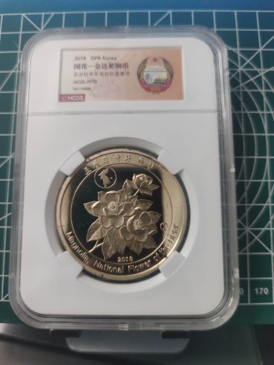 燕姐换藏第71拍 - 朝鲜2019年国花金达莱大型铜币10元