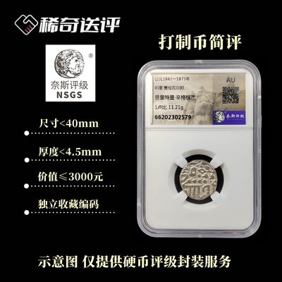 【稀奇送评】【奈斯评级】打制币 标准盒 【简评】 - 【稀奇送评】【奈斯评级】打制币 标准盒 【简评】