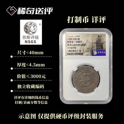 【稀奇送评】【奈斯评级】打制币 标准盒 【详评】 - 【稀奇送评】【奈斯评级】打制币 标准盒 【详评】