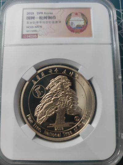 燕姐换藏第71拍 - 朝鲜2019年国树松树大型铜币10元