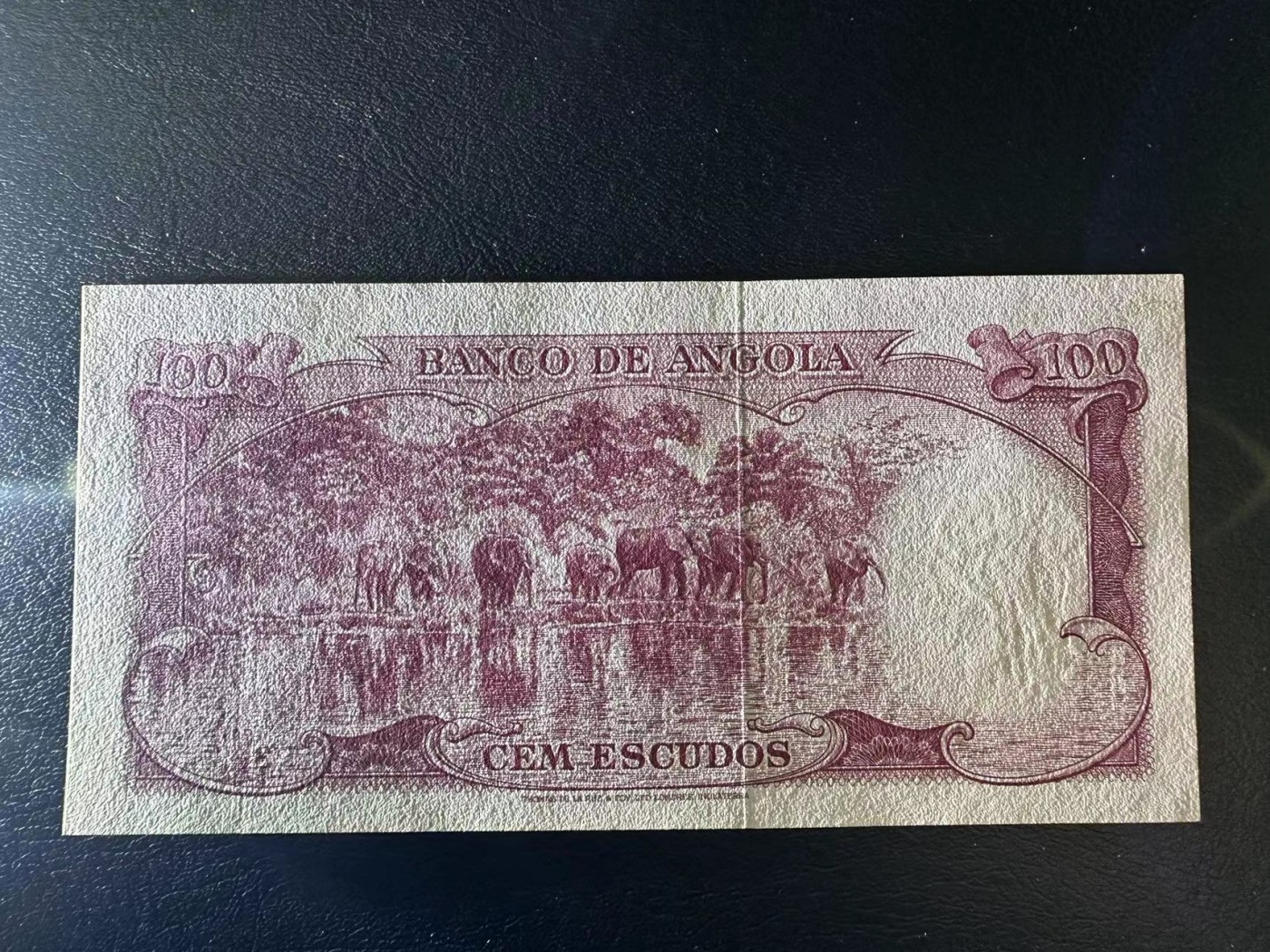 【Blue Auction】✨世界纸币精拍第408期【精】 安哥拉 1962年100埃斯库多 精美象群 UNC-