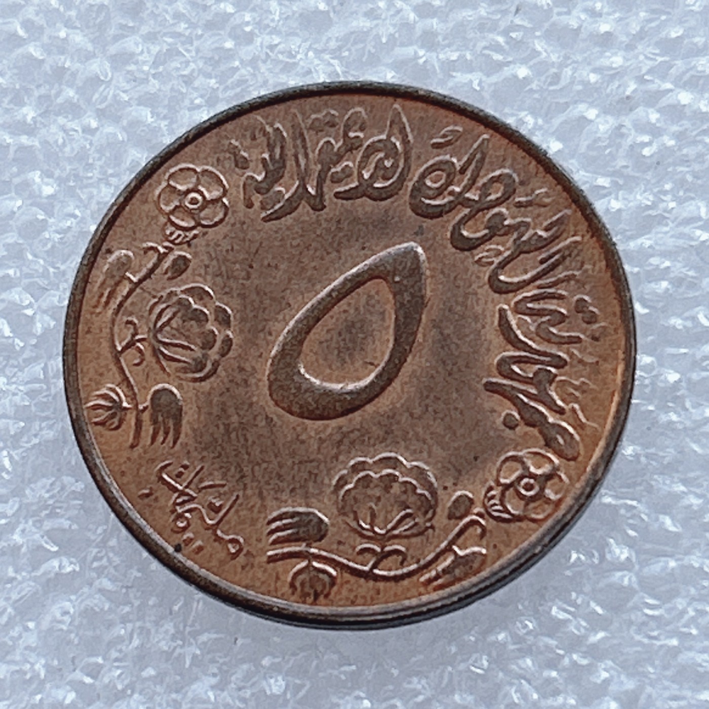 海外回流1元起拍小铺 各国钱币散币场 第2期 苏丹5米利姆铜质硬币