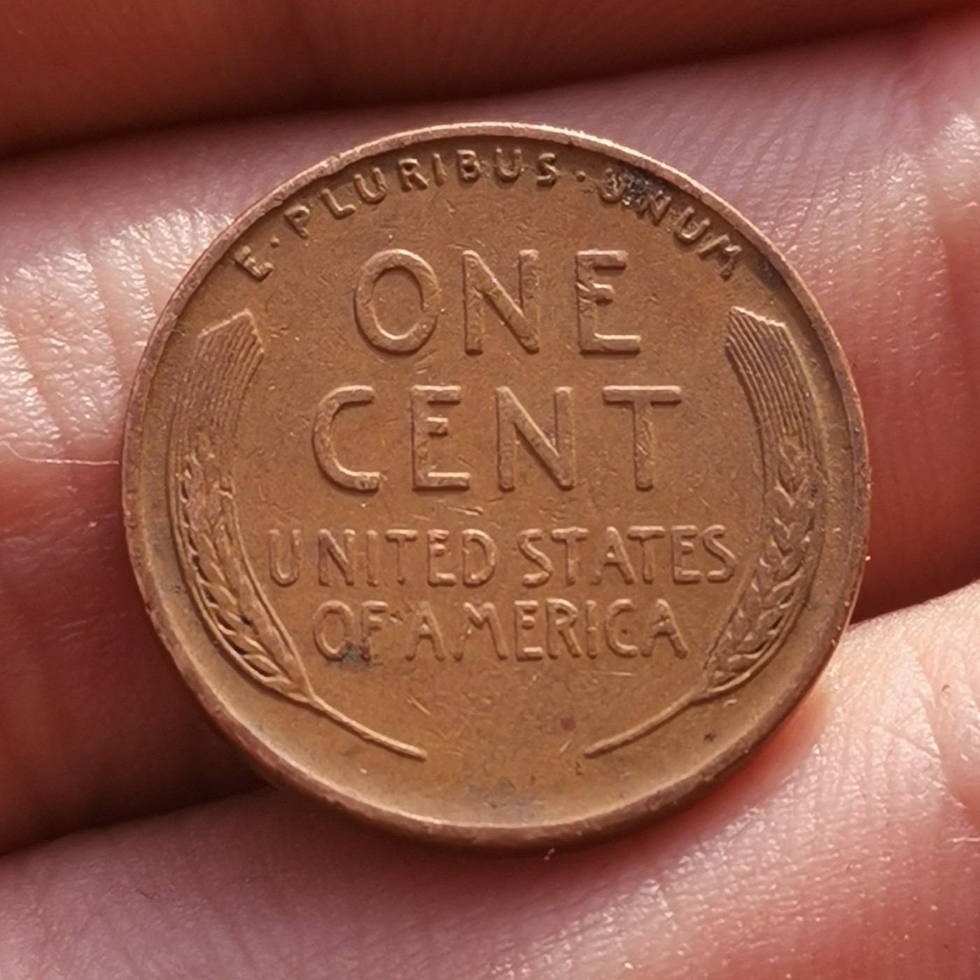 1921～1958年美国麦穗1分铜币