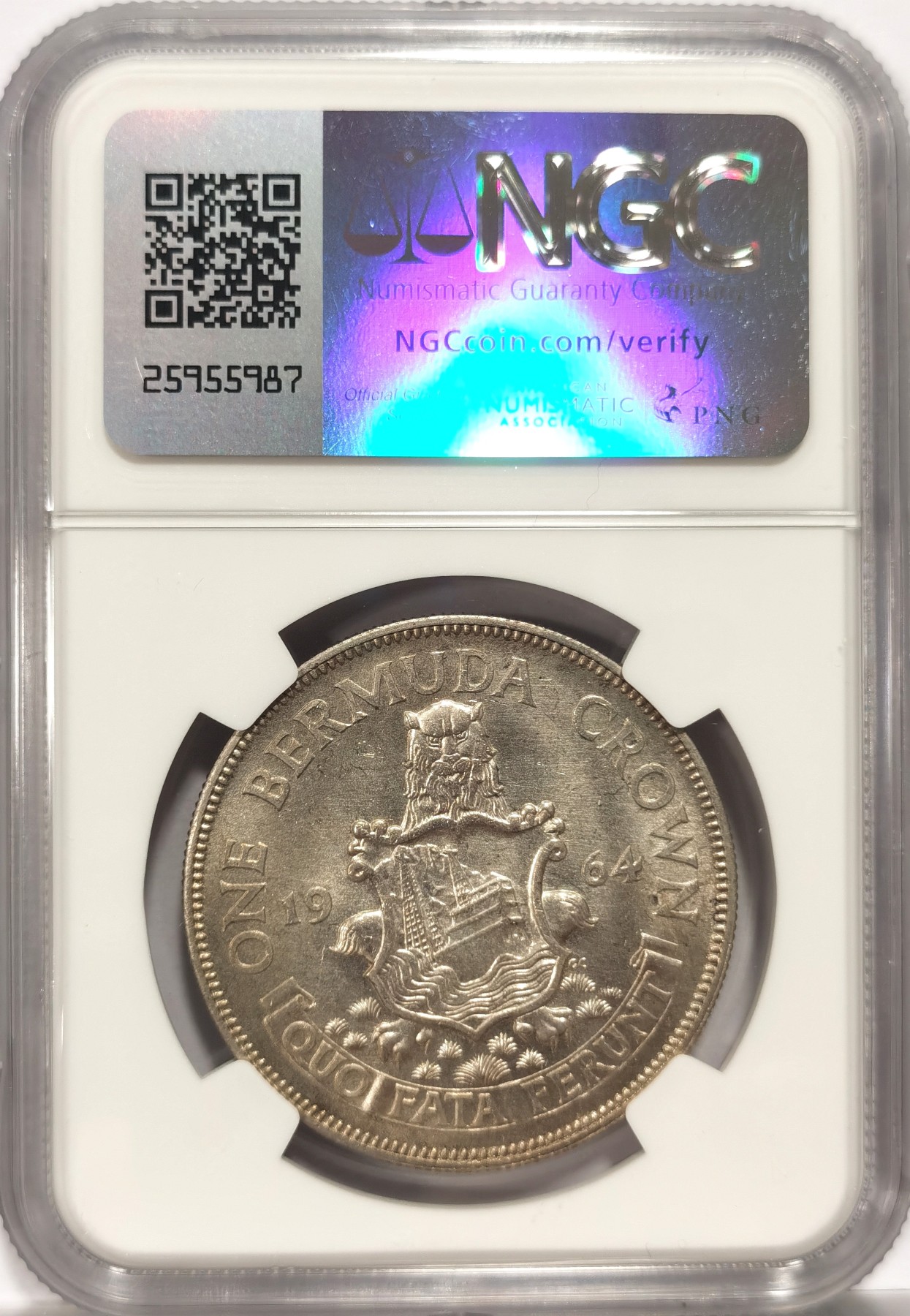 博洋堂世界钱币拍卖第057期（全场包邮） NGC MS63 英属百慕大1964年1克朗银币，收藏品相