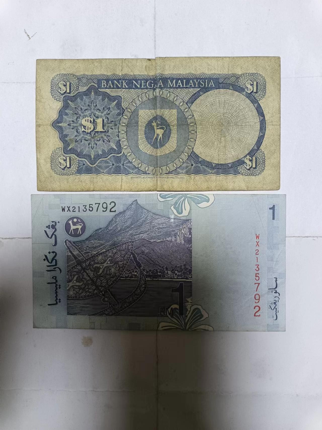 【20231223】非全新纸币和硬币第101场 马来西亚1林吉特2种不同版本