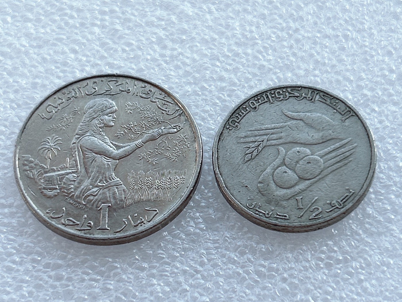 海外回流1元起拍小铺 各国钱币散币场 第2期 突尼斯1983年2枚一对   1/2第纳尔 + 1第纳尔