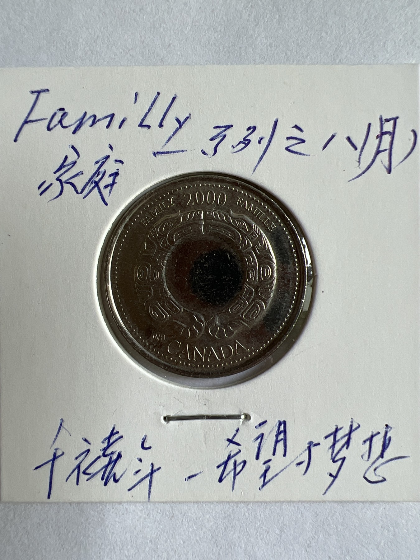 第488期 硬币专场 （无押金，捡漏，全场50包邮，偏远地区除外，接收代拍业务） 加拿大25分-家庭系列之八月千禧年：希望与梦想