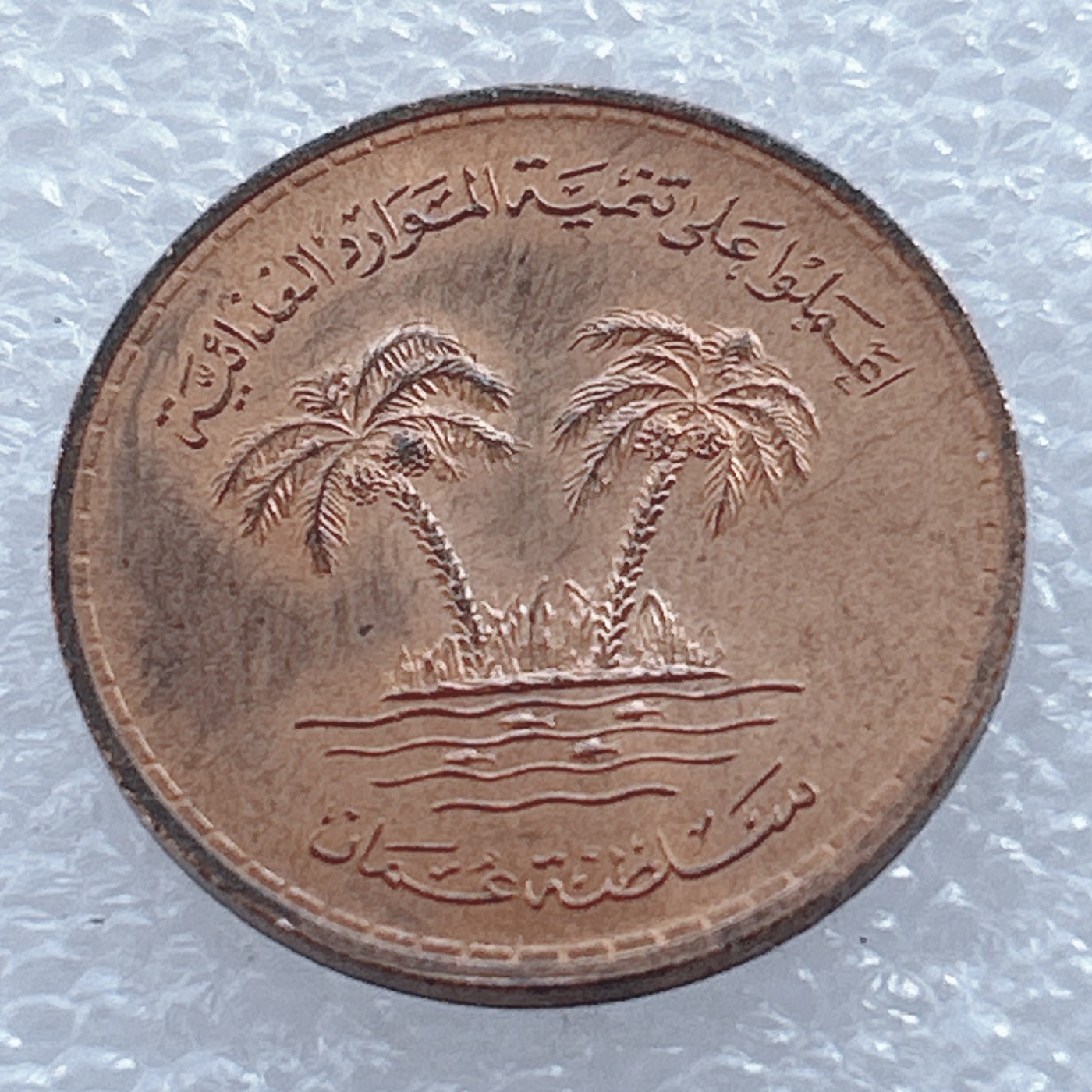 海外回流1元起拍小铺 各国钱币散币场 第2期 阿曼10拜沙