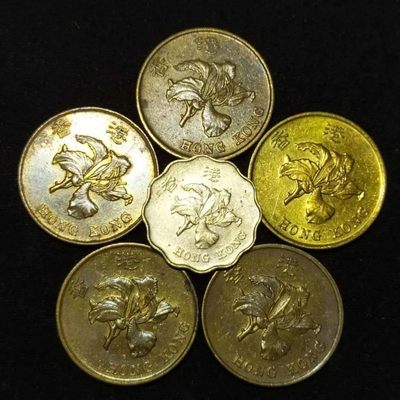 240126 香港紫金花一组,保真随机发货