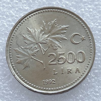 海外回流1元起拍小铺 各国钱币散币场 第2期 - 土耳其1992年2500里拉铜镍币，国父凯末尔 原光品