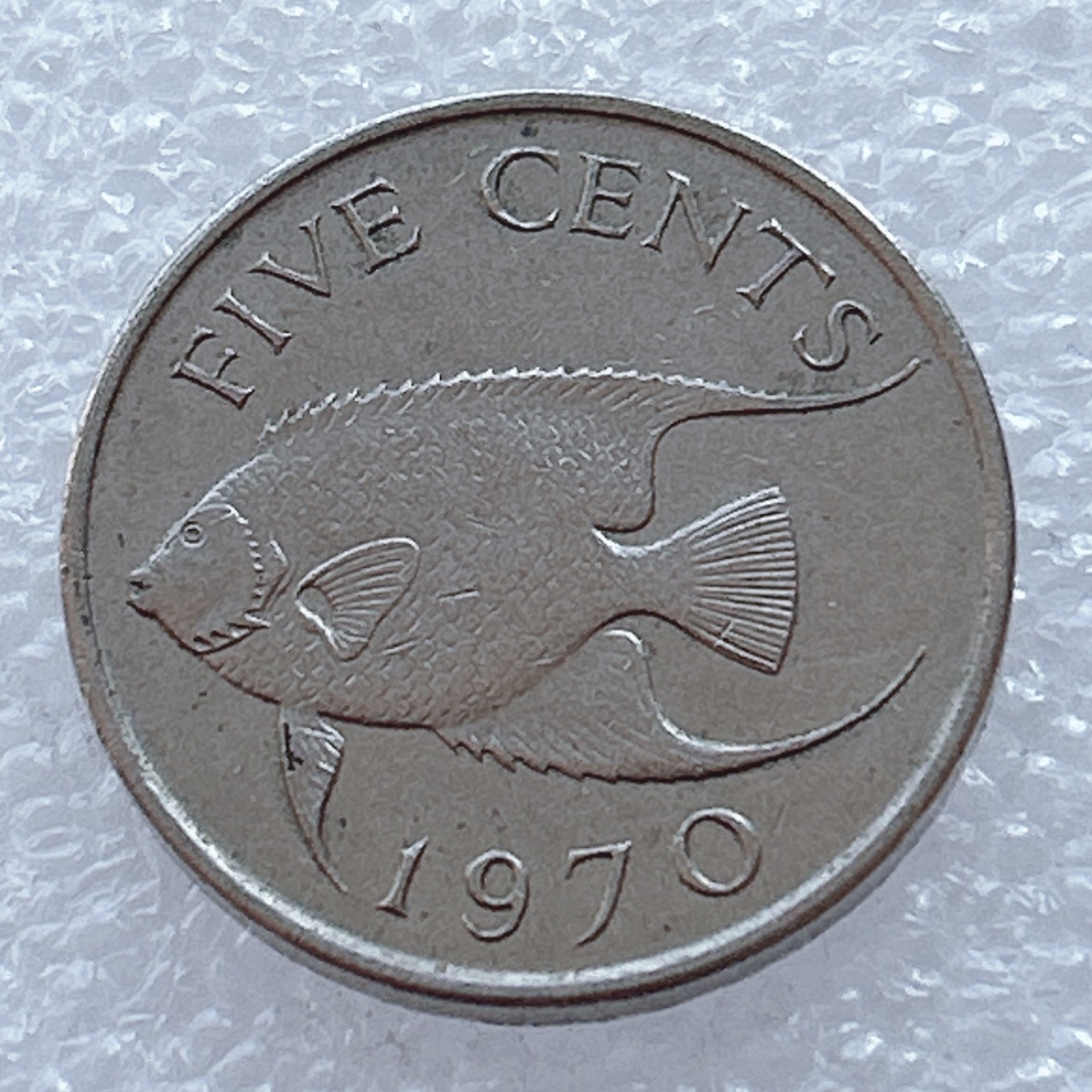 海外回流1元起拍小铺 各国钱币散币场 第2期 百慕大1970年5分 年轻女王像