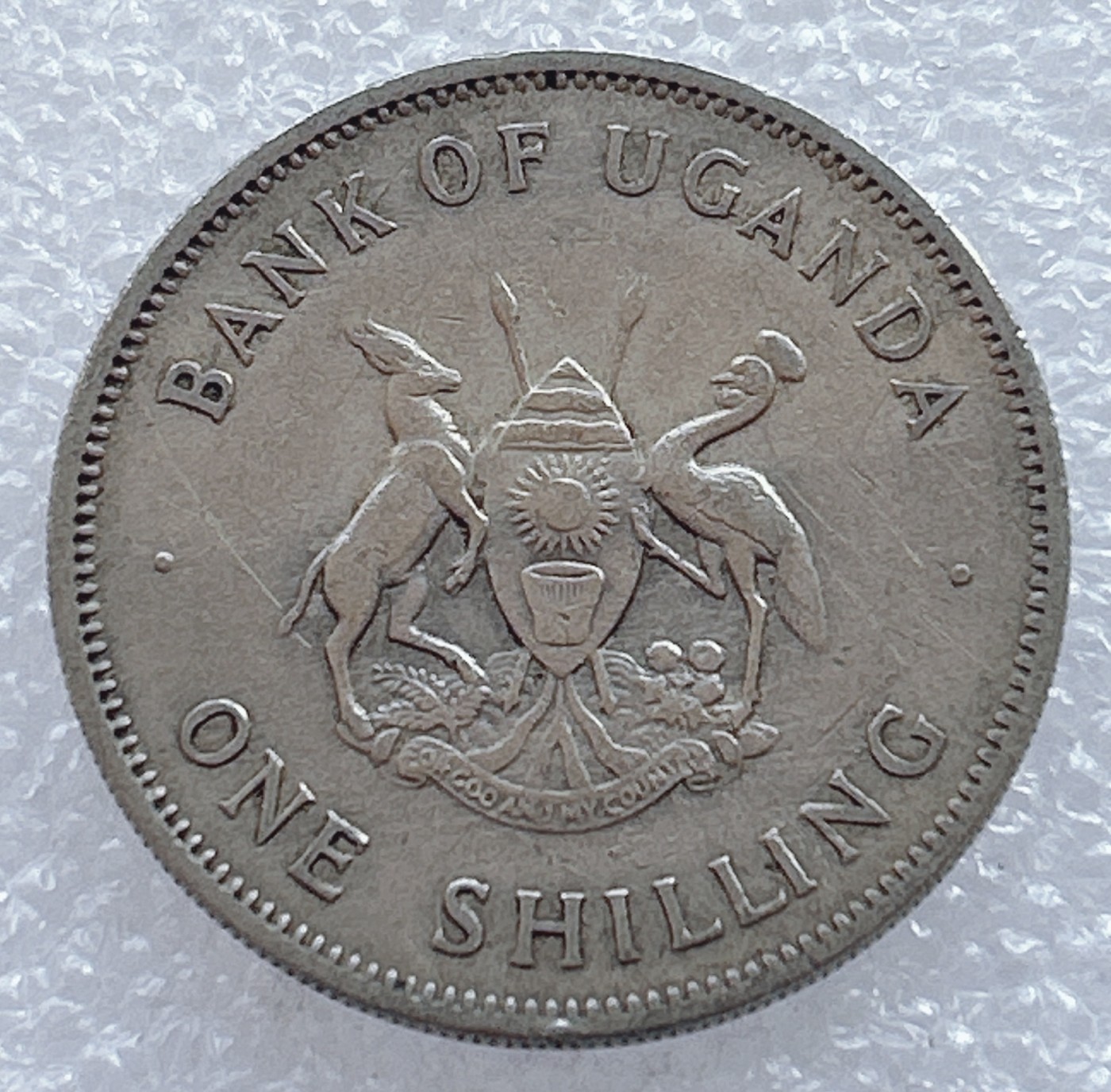 海外回流1元起拍小铺 各国钱币散币场 第2期 乌干达1968年1先令