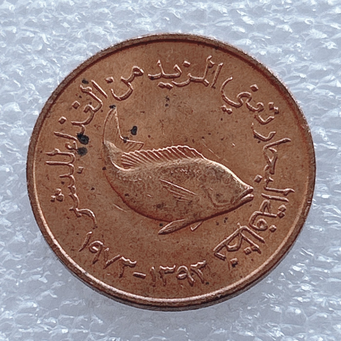 海外回流1元起拍小铺 各国钱币散币场 第2期 阿联酋小鱼5费尔