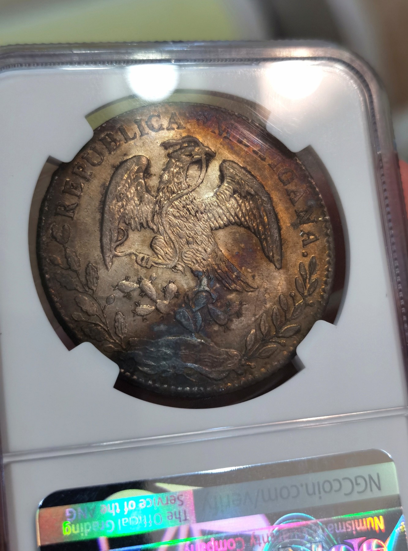 博洋堂世界钱币拍卖第057期（全场包邮） NGC UNCD 墨西哥1875年CN MP版鹰洋