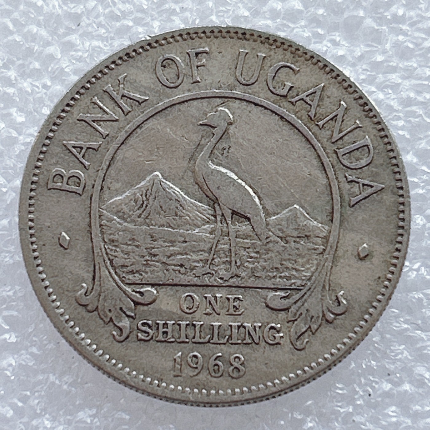 海外回流1元起拍小铺 各国钱币散币场 第2期 乌干达1968年1先令