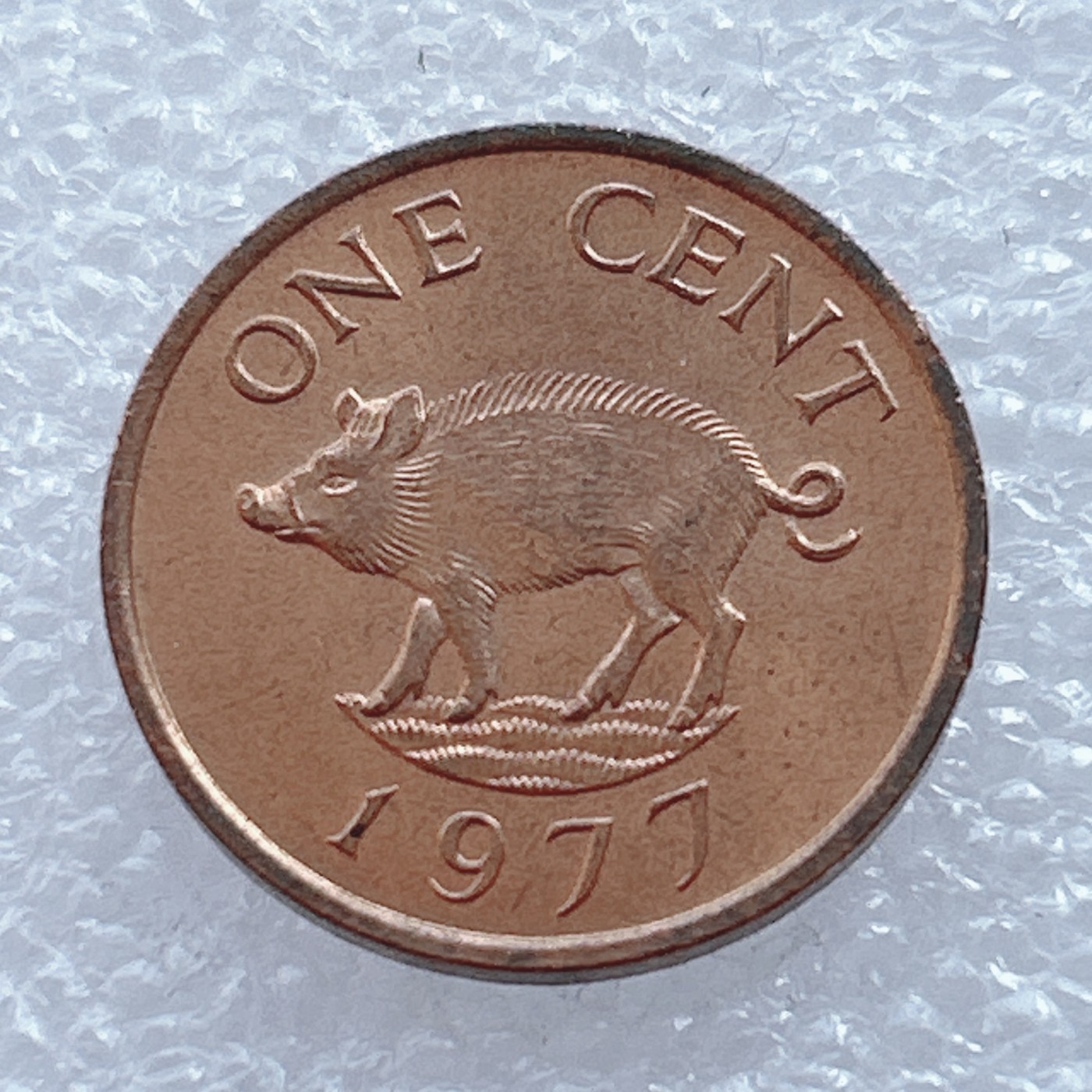 海外回流1元起拍小铺 各国钱币散币场 第2期 百慕大1977年1分