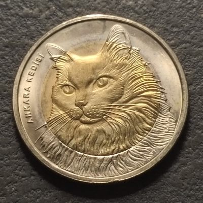 0起1加-纯粹捡漏拍-272散币银币场-双金属币专场 - 土耳其2010年1里拉动物系列安哥拉猫双色纪念币-最古老的品种之一