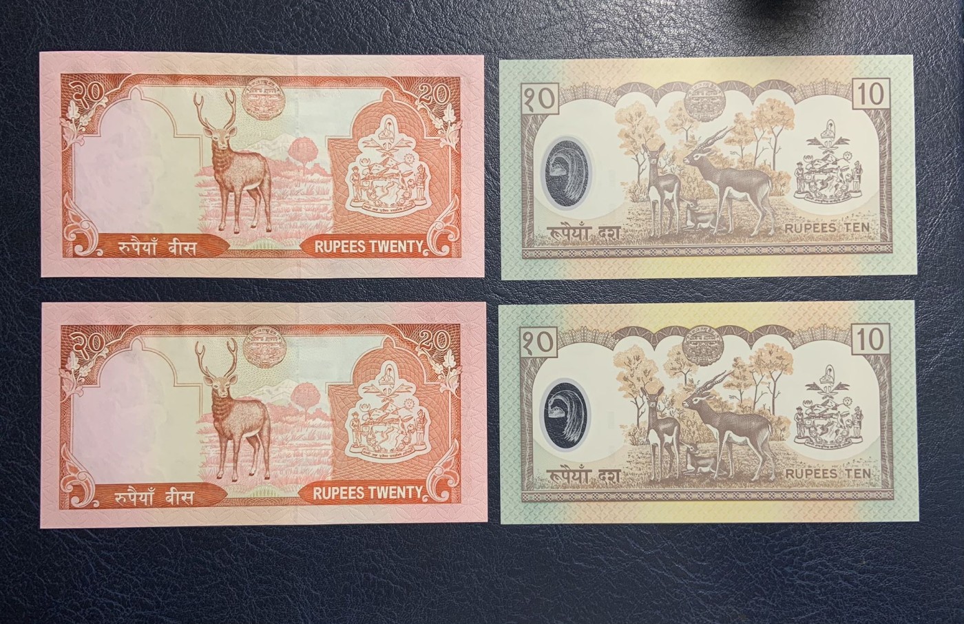 收藏联盟Quantum Auction 第313期拍卖  尼泊尔2002年5到1000卢比 品相UNC 1000卢比边角微瑕，10卢比为纪念钞