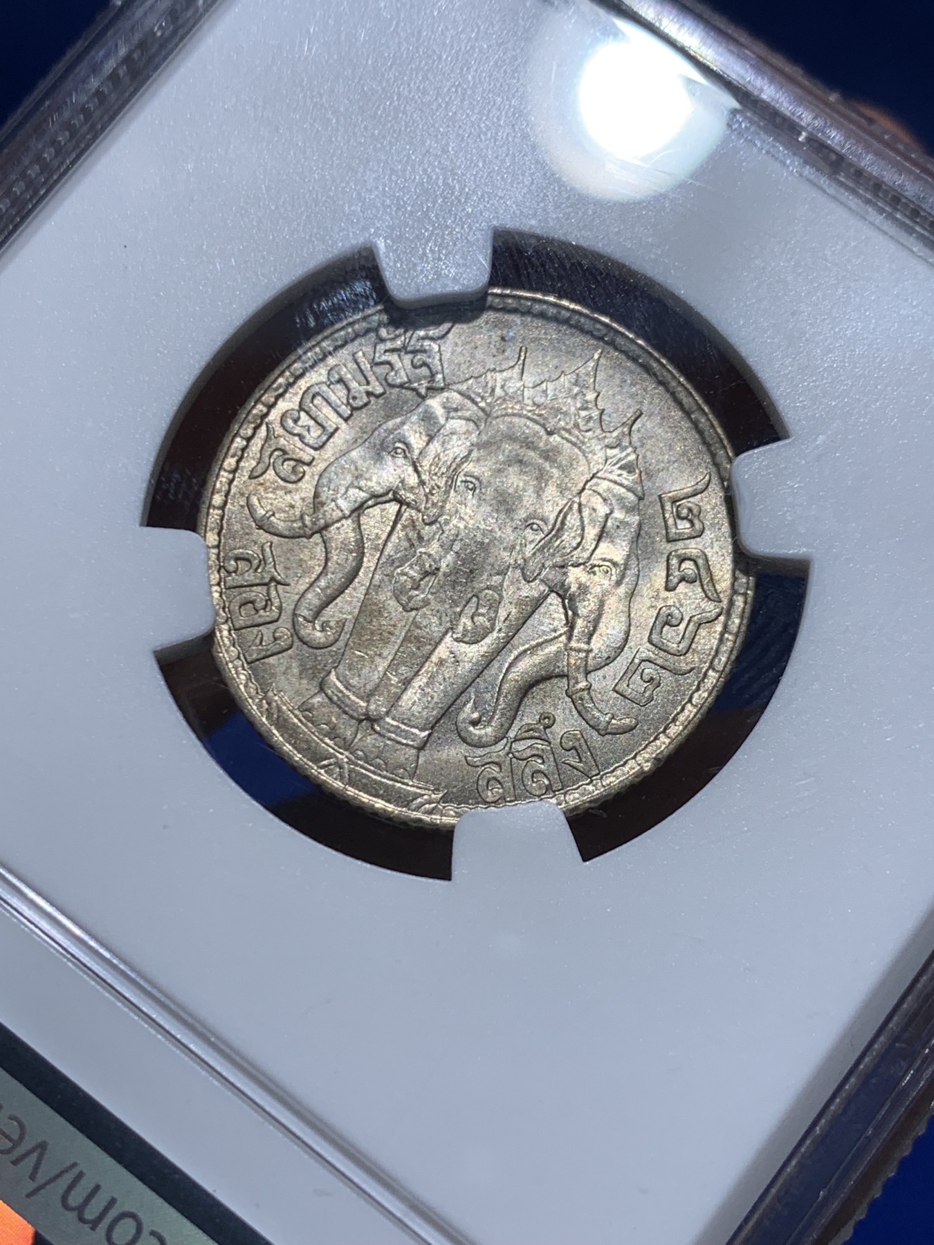 《竞宝斋》圣诞专辑  第一场  第227场 定制纪念章相赠 (全场顺丰包邮) NGC-MS63 泰国1919年拉玛六世三头象神半株银币 少见面值 光度也好