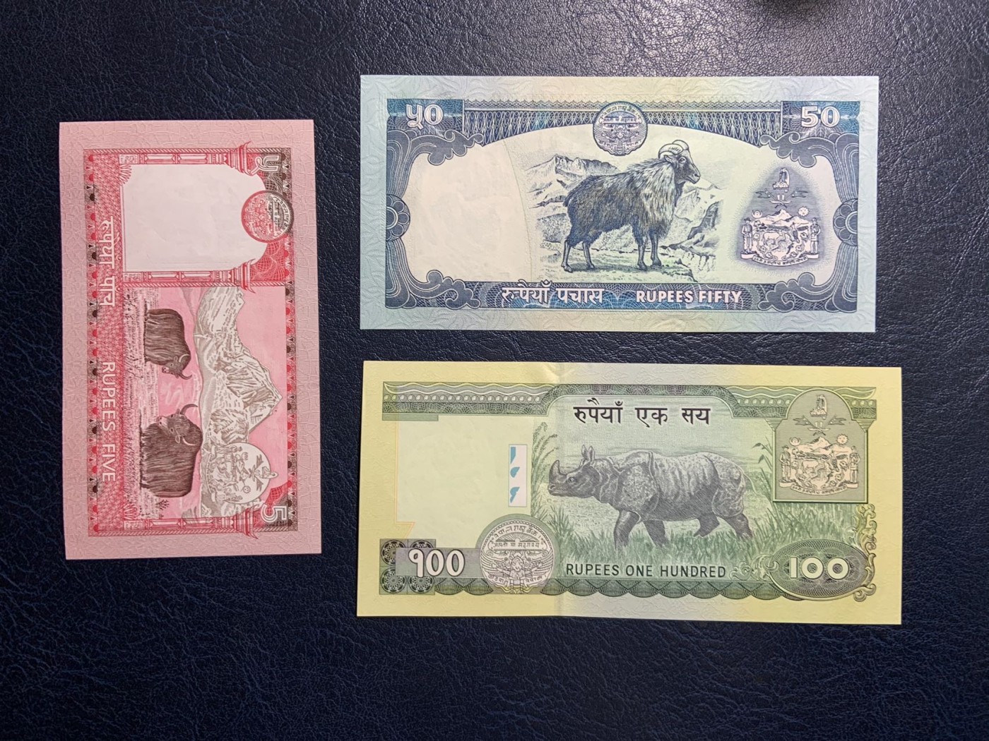 收藏联盟Quantum Auction 第313期拍卖  尼泊尔2002年5到1000卢比 品相UNC 1000卢比边角微瑕，10卢比为纪念钞