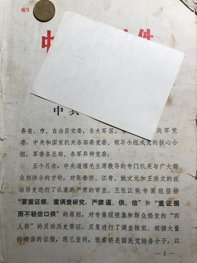 皖江书章元旦专场 - 红透，专案组批判材料二