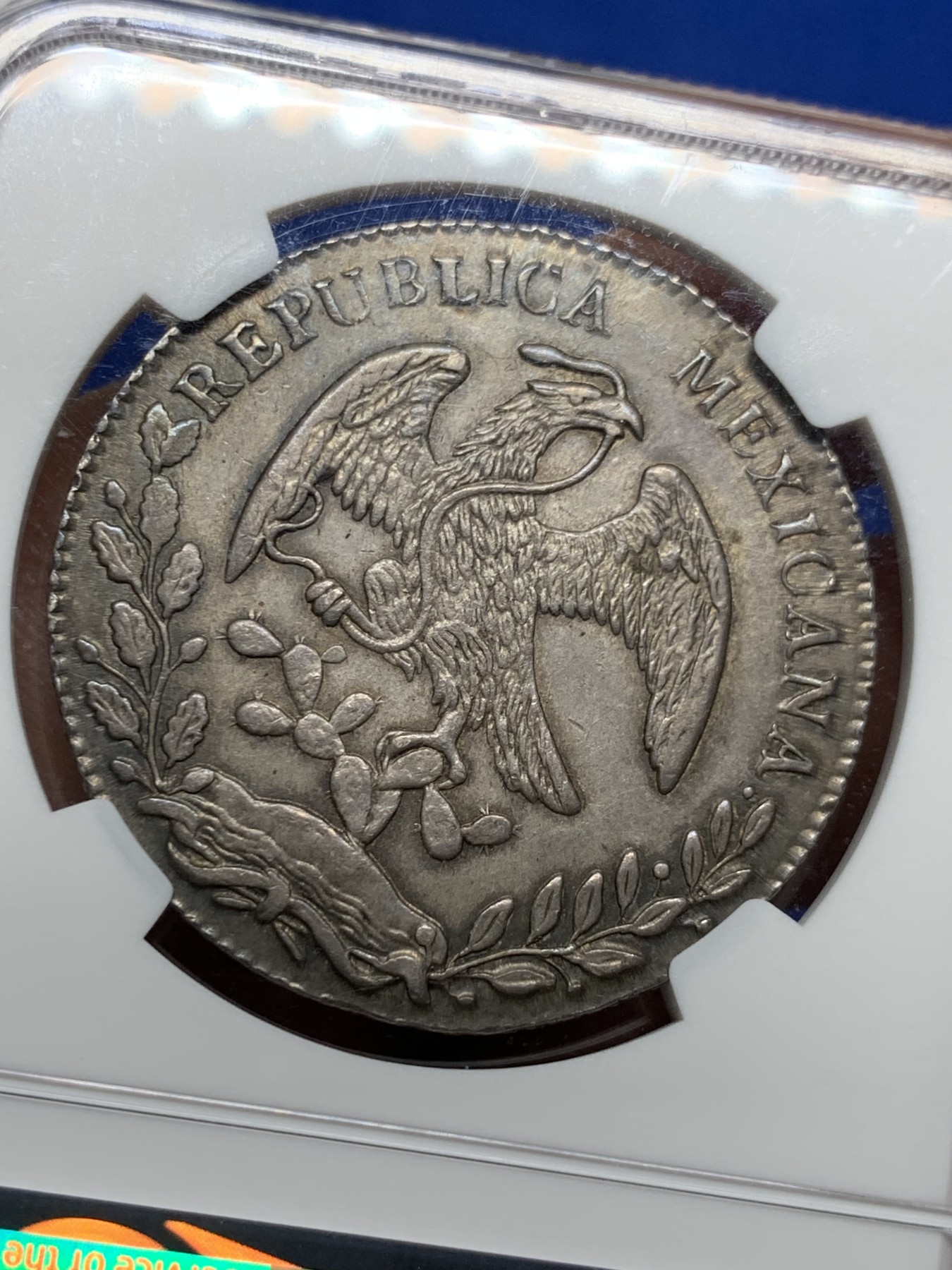 《竞宝斋》圣诞专辑  第二场  第228场 定制纪念章相赠 (全场顺丰包邮) NGC MS63 墨西哥1875年CA版（比较少见的版本）花边鹰洋8瑞尔银币