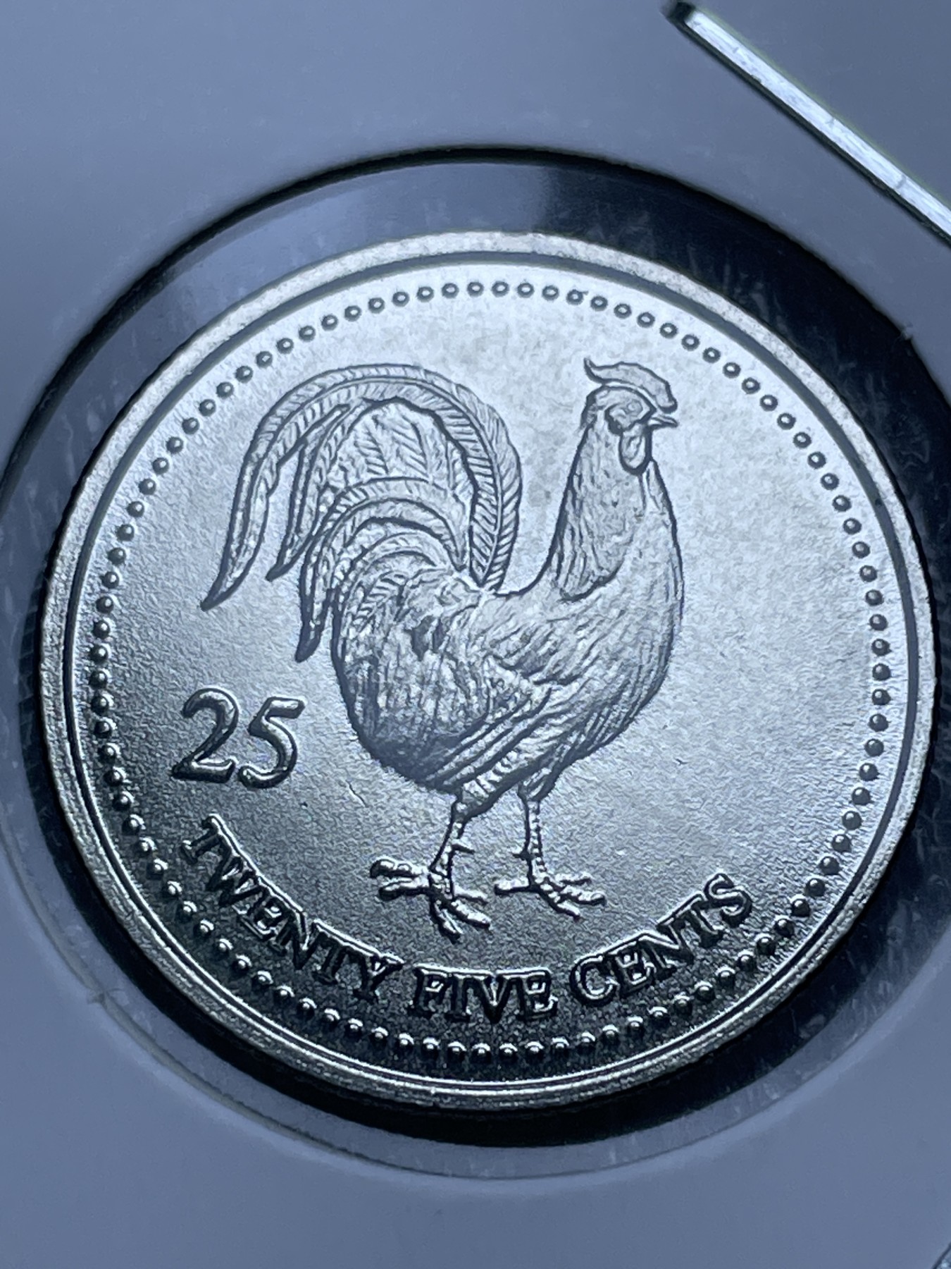 神仙姐姐散币好品专场第十一期（无佣金，预留三期自动发出 全新塞舌尔 25 分