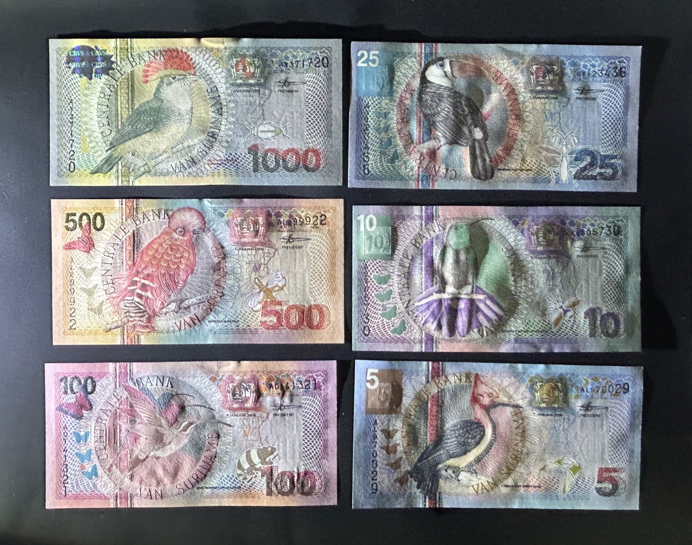 【丑猫1230】今晚6点整，自动快拍 苏里南unc*6