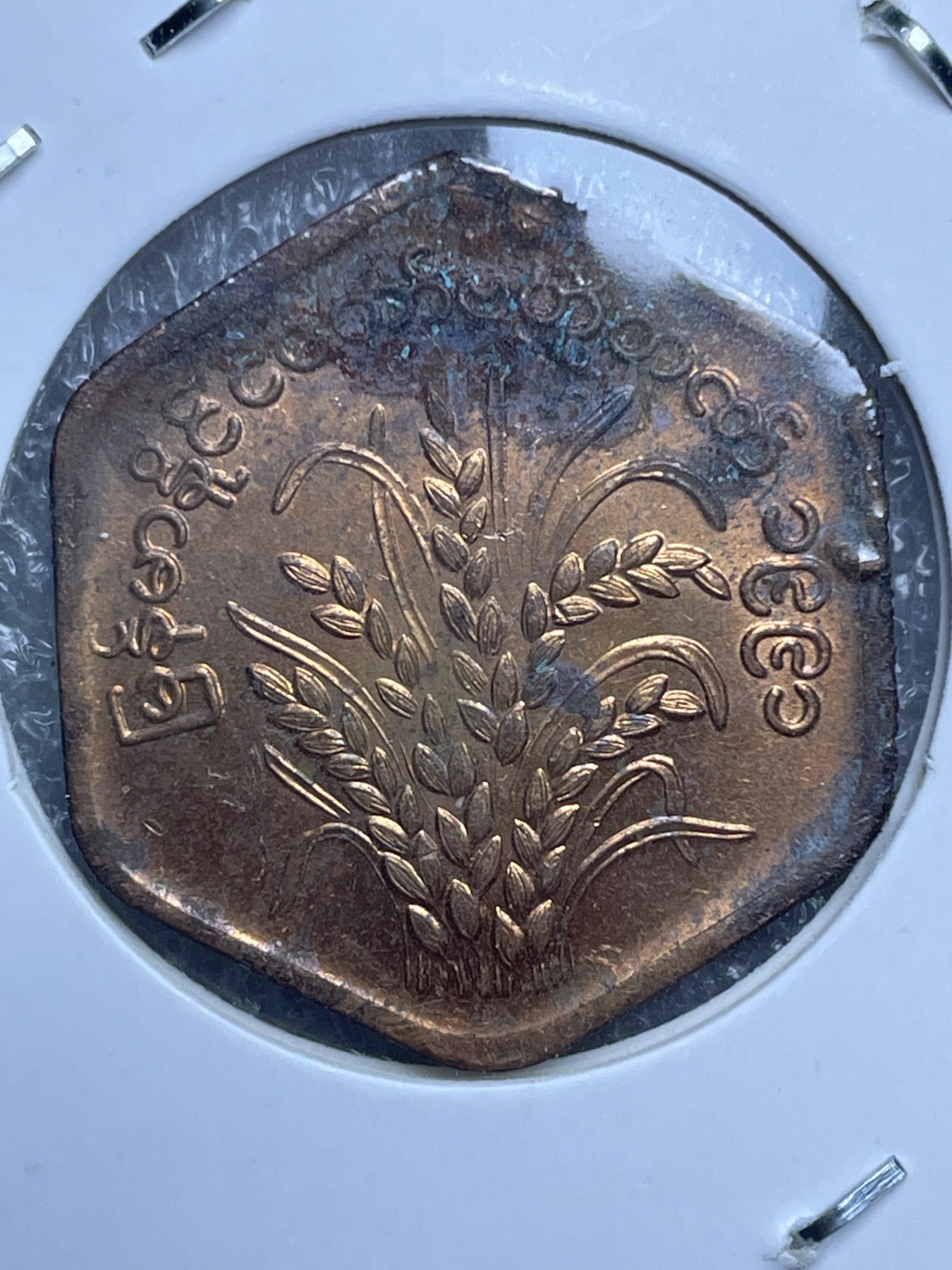 神仙姐姐散币好品专场第十一期（无佣金，预留三期自动发出 全新缅甸水稻，有氧化