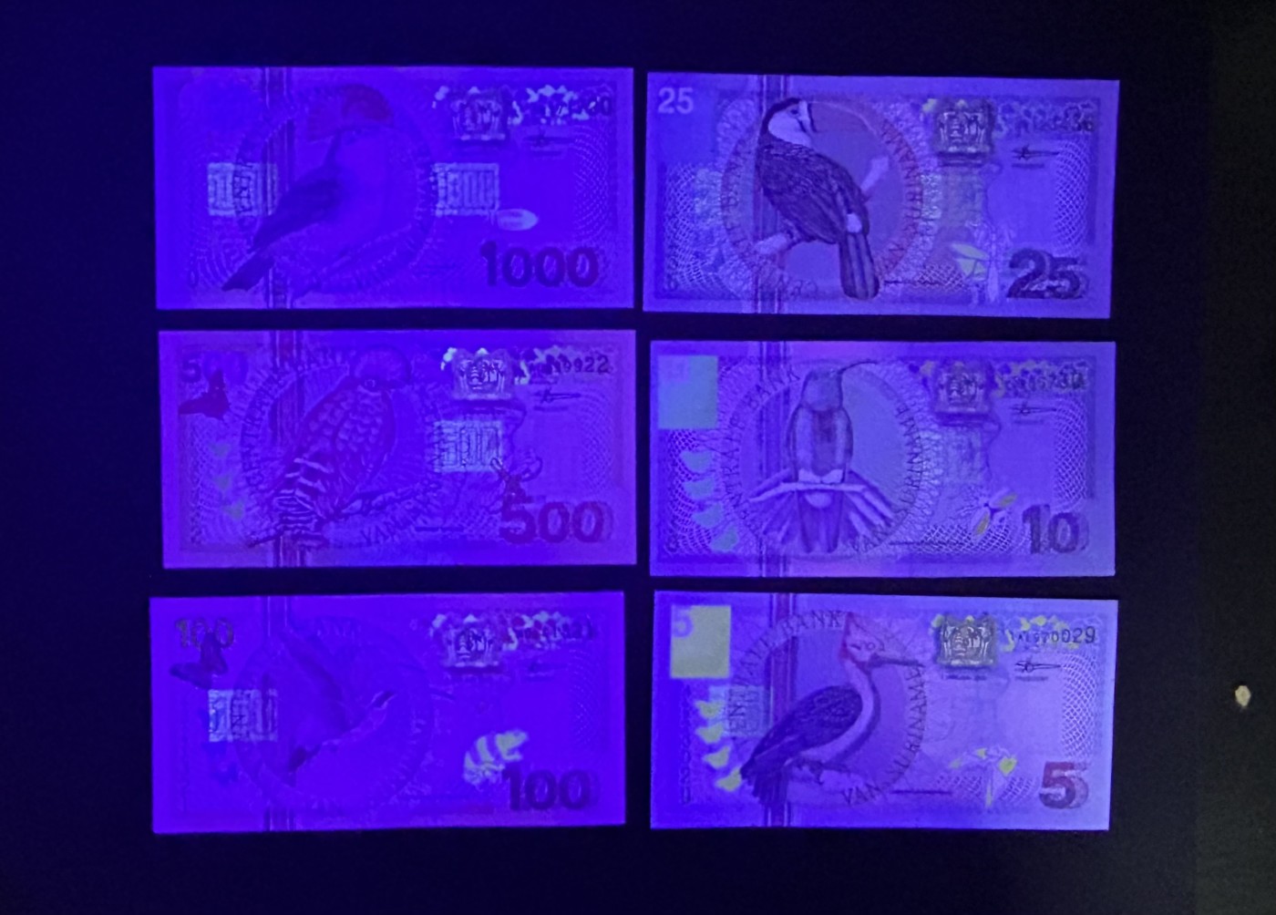 【丑猫1230】今晚6点整，自动快拍 苏里南unc*6