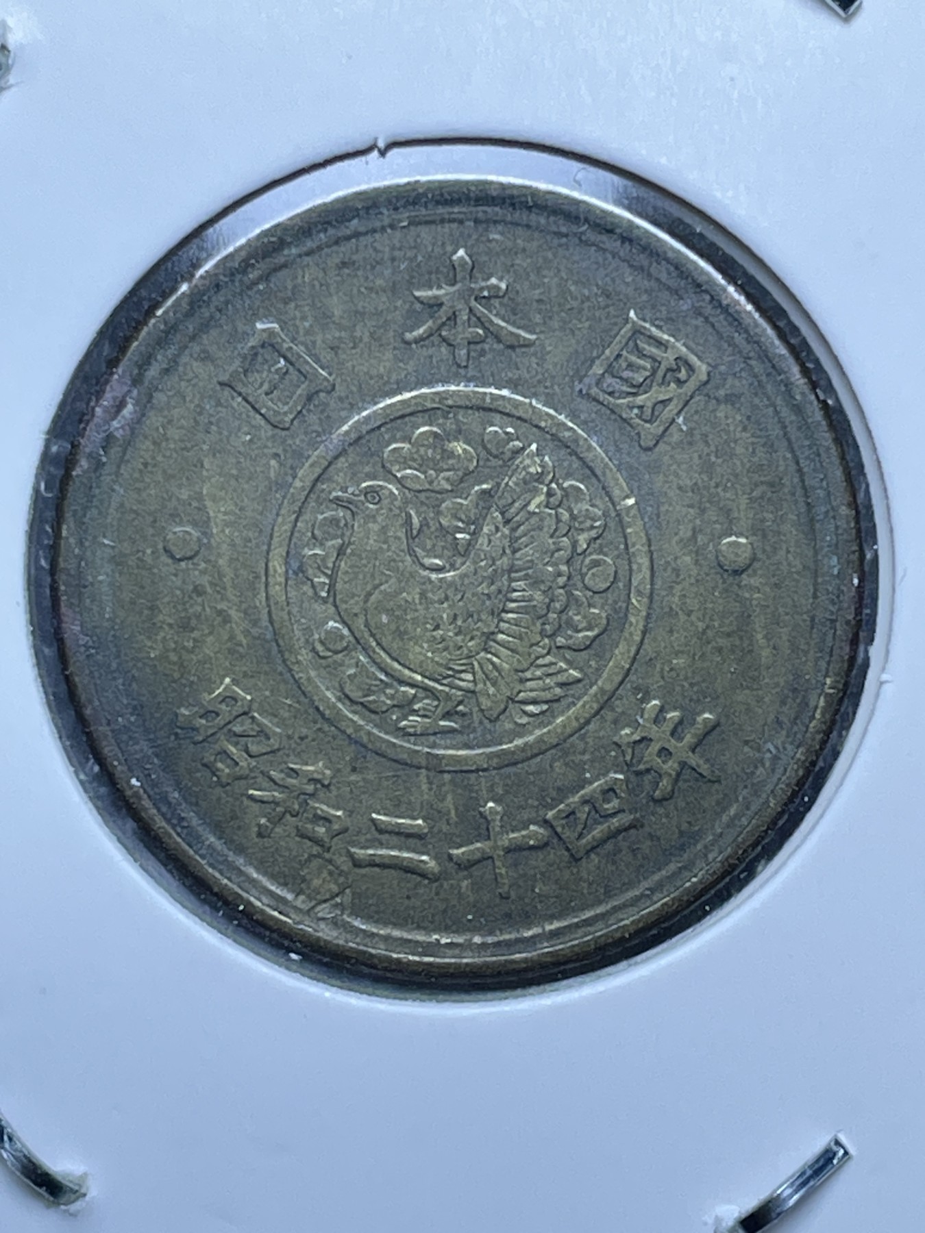 神仙姐姐散币好品专场第十一期（无佣金，预留三期自动发出 日本昭和二十四年五円