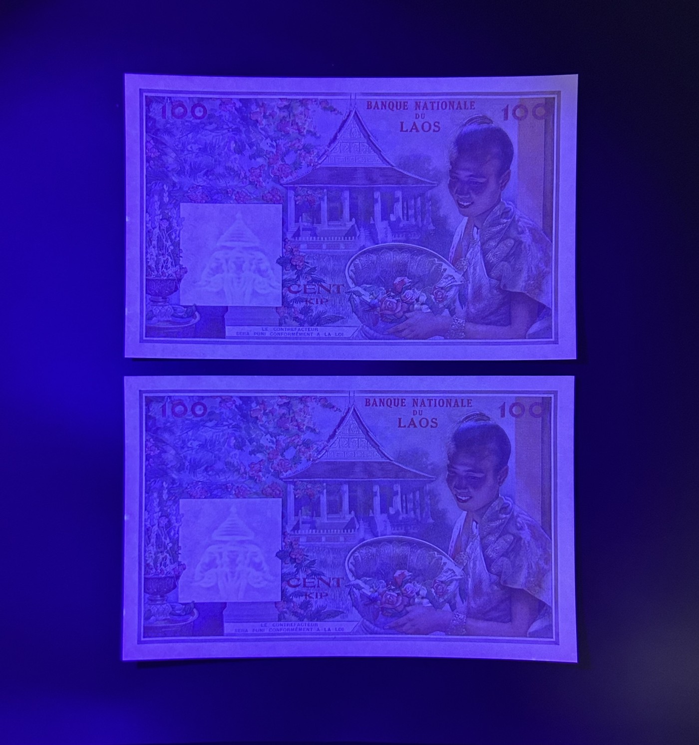 【丑猫1230】今晚6点整，自动快拍 老挝猪哥unc*2