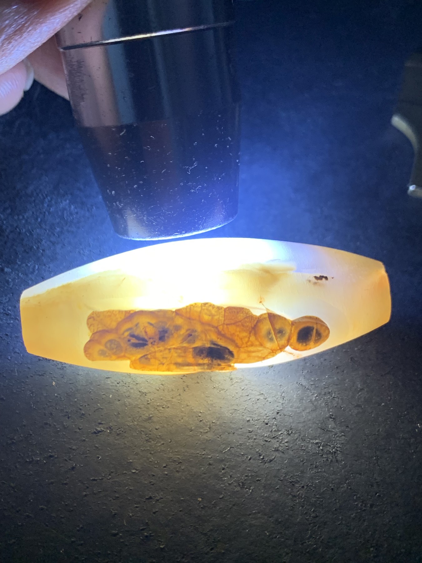 精美亚光高玉化巴西玛瑙手工俏色巧雕花开见佛吊坠（把件）一个