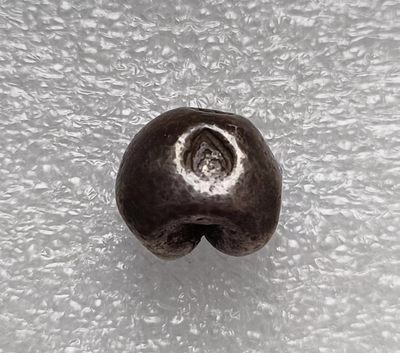 瓶子🏺第123期拍卖会  泰国拉玛四世1泰铢屁股锭