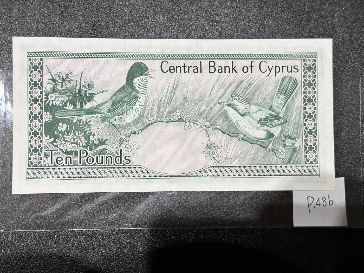 《外钞收藏家》第三百二十四期 地中海四国专场（土耳其/塞浦路斯/叙利亚/黎巴嫩） 塞浦路斯1985年10镑（P48）全新