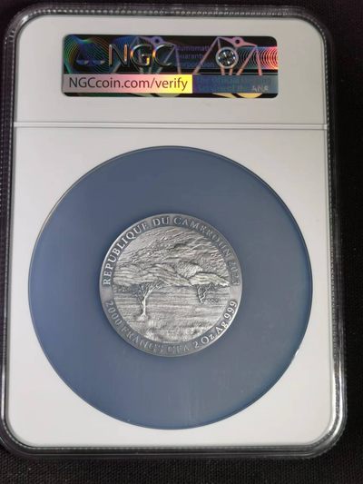 刘世昌艺术品销售中心～虎踞龙蟠*金杨在线联拍群第521期  喀麦隆2023年野生动物～犀牛2000法郎2盎司仿古纪念银币“首期”（NGC MS70ANT 串号：6723060-003）1枚，原盒证。发行量：500枚。