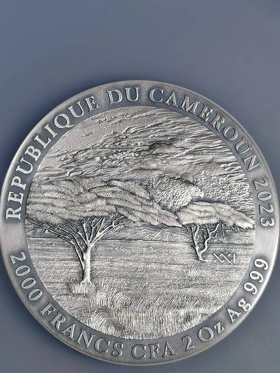 刘世昌艺术品销售中心～虎踞龙蟠*金杨在线联拍群第521期  喀麦隆2023年野生动物～犀牛2000法郎2盎司仿古纪念银币“首期”（NGC MS70ANT 串号：6723060-003）1枚，原盒证。发行量：500枚。