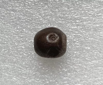 瓶子🏺第123期拍卖会  泰国拉玛四世1泰铢屁股锭