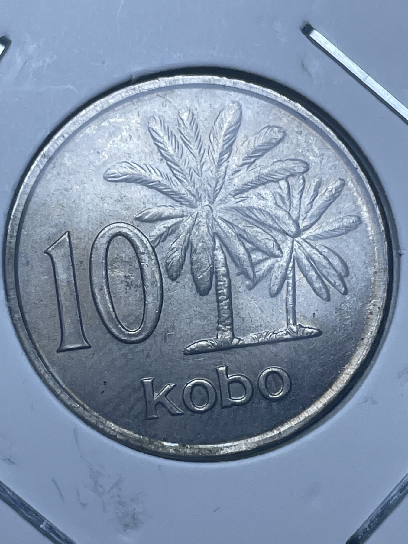 神仙姐姐散币好品专场第十一期（无佣金，预留三期自动发出 尼日利亚10 烤包